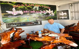 Nghệ nhân Cao Đức Vịnh(Vịnh Quang): Tiếp tục nhân lên những tấm lòng nhân ái, tích cực quyên góp ủng hộ đồng bào miền Trung đang bị lũ lụt