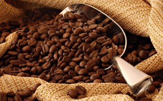 Giá cà phê hôm nay 18/11: Giữ nguyên mốc 34 triệu đồng/tấn trước vụ mới