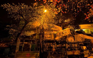 Thú ăn đêm của người Hà Nội