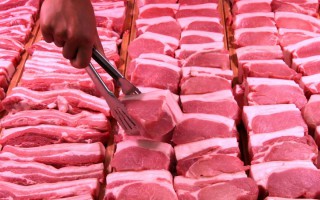 Giá lợn hơi hôm nay 20/11: Giảm nhẹ tại khu vực miền Trung - Tây Nguyên và miền Nam