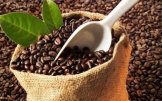 Giá cà phê hôm nay 24/11: Giảm 100-200 đồng/kg, thị trường thế giới diễn biến trái chiều