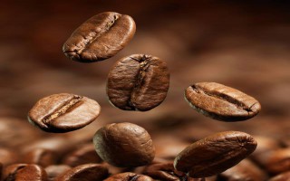 Giá cà phê hôm nay 28/11: Giá cà phê tăng nhẹ theo giá cà phê thế giới
