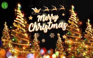 Cách làm thiệp Giáng sinh tặng người thân