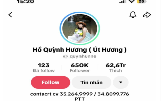 TikToker Hồ Quỳnh Hương và hành trình xây dựng cộng đồng người theo dõi tích cực