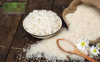 Giá lúa gạo hôm nay ngày 25/12: Giá lúa gạo chững lại