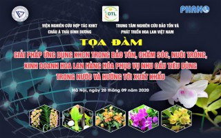 Giải pháp thúc đẩy ngành hoa lan phát triển nhanh, mạnh và bền vững