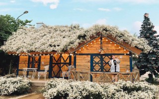 Căn nhà 'lợp mái' bằng cúc họa mi