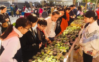 Lan tỏa lối sống xanh