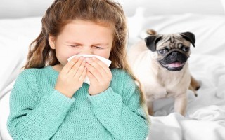 10 yếu tố khiến hen phế quản nặng lên