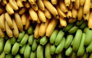 6 tác dụng không ngờ khi ăn hai quả chuối mỗi ngày