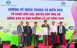 Đấu giá mắt thức lan đột biến Đôi mắt pleiku xanh: Kỳ vọng hàng chục tỷ đồng góp cho quỹ phòng chống COVID19