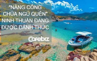 Giải mã hiện tượng sốt đất Ninh Thuận: Vị trí độc tôn ở trung tâm tam giác Nha Trang - Đà Lạt - Phan Thiết, cung đường biển đẹp nhất Việt Nam dài 106km, chính quyền "trải thảm đỏ" mời gọi đầu tư