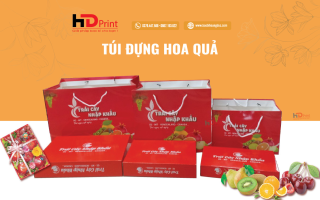 In túi đựng hoa quả - Nâng tầm nông sản Việt Nam