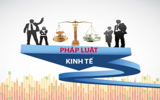 Luật kinh tế: Ngành học không bao giờ lỗi thời