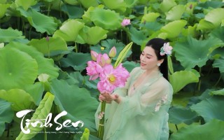 NSƯT Hương Giang ra bản Karaoke ca khúc Tình Sen
