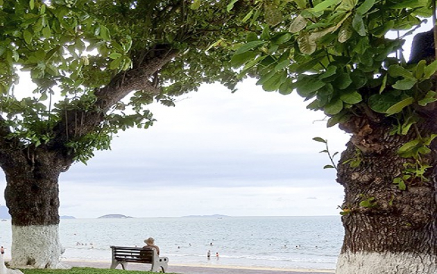 Khánh Hoà: Mùa thu của ước mơ